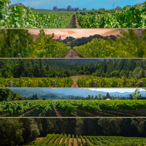 Collage of Vineyards